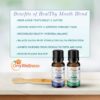 OraWellness Nut Free Healthy Mouth Blend Organic Toothpaste & Mouthwash Alternative Tooth Oil, Natural Mouth Rinse for Healthy Teeth & Gums for Women, Men and Kids, Pack of 3