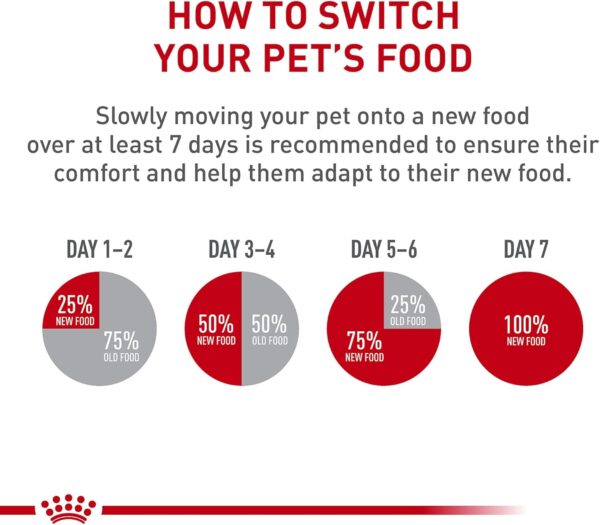 Royal Canin Feline Care Nutrition Dental Care Dry Cat Food, 6 lb bag