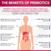Dr. Formulated Raw Probiotics for Women 100 Billion CFUs Capsules with Prebiotics, Digestive Enzymes, Approved for Adults, Shelf Stable Supplement