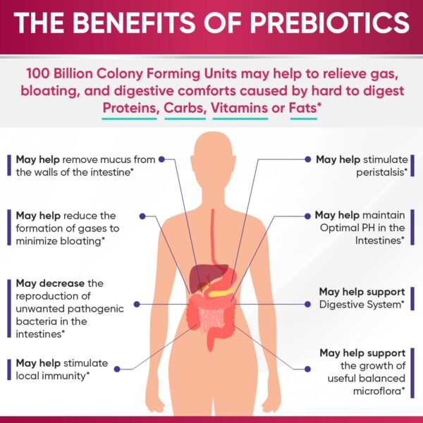 Dr. Formulated Raw Probiotics for Women 100 Billion CFUs Capsules with Prebiotics, Digestive Enzymes, Approved for Adults, Shelf Stable Supplement