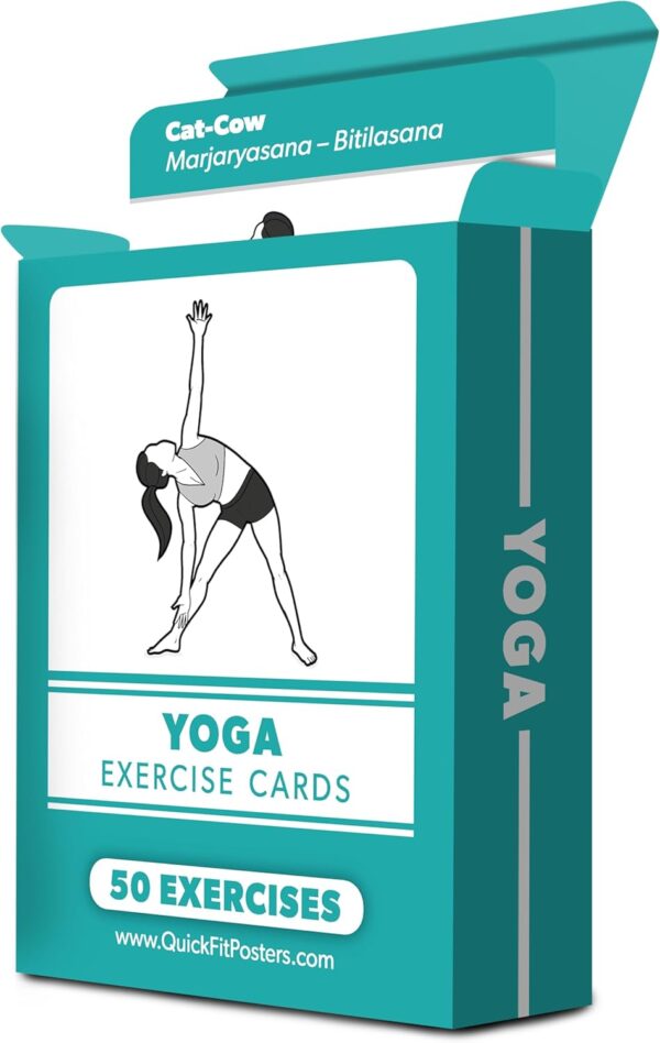 Palace Learning Yoga Pose Exercise Cards - Yoga Positions and Workout Fitness Cards with Over 50 Poses - 2.5" x 3.5"