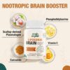 Liposomal Brain Supplements for Memory and Focus - Plasmalogen with Curcumin & Vitamin E for Better Absorption- Suitable for Seniors,Adult Men & Women Cognitive Health,High Potency 60 Servings