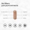 ACEWORKZ 10 Mushroom Complex Supplement - Lions Mane, Reishi and Cordyceps & More - Nootropic for Brain Health, Memory & Focus - Immunity & Energy (90 Capsules)