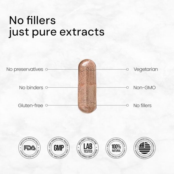 ACEWORKZ 10 Mushroom Complex Supplement - Lions Mane, Reishi and Cordyceps & More - Nootropic for Brain Health, Memory & Focus - Immunity & Energy (90 Capsules)