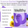 Wellthy Full Body Detox and Immune Support - Advanced Digestive Health, Gut Cleanse and Bloating Relief - All Natural Formula with Milk Thistle, Dandelion Extract and L-Carnitine | 30-Day Supply