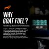 71GYCd0GUUL._SL1500_.jpg G.O.A.T. Fuel Energy Drink With Natural Caffeine, Electrolytes, BCAAs, Cordyceps Mushrooms & Antioxidants, Lightly Carbonated Pre Workout & Sports Energy Drink, 12 Pack, 12 FL Oz Cans, Gummy Bear