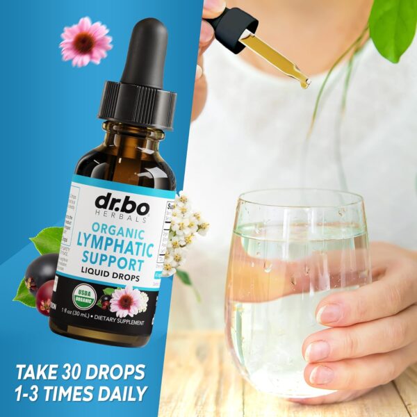 Lymphatic Drainage Supplements Drops - Organic Lymphatic Support Liquid Drops Cleanse with Echinacea for Lymph System Support Supplement, Lymph Node Detox Cleanse System Drainage - 1oz Vegan Non-GMO