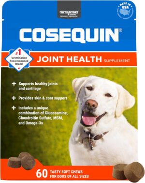 Nutramax Cosequin Joint Health Supplement for Dogs - With Glucosamine, Chondroitin, MSM, and Omega-3's, 60 Soft Chews