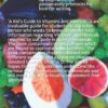 A Kid's Guide to Vitamins and Minerals: Basics of Leading a Healthy Lifestyle