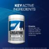 GAT SPORT Creatine Monohydrate Powder, Strength, Brain Health, Anti-oxidant, Endurance, for Men & Women, Unflavored (60 Servings)