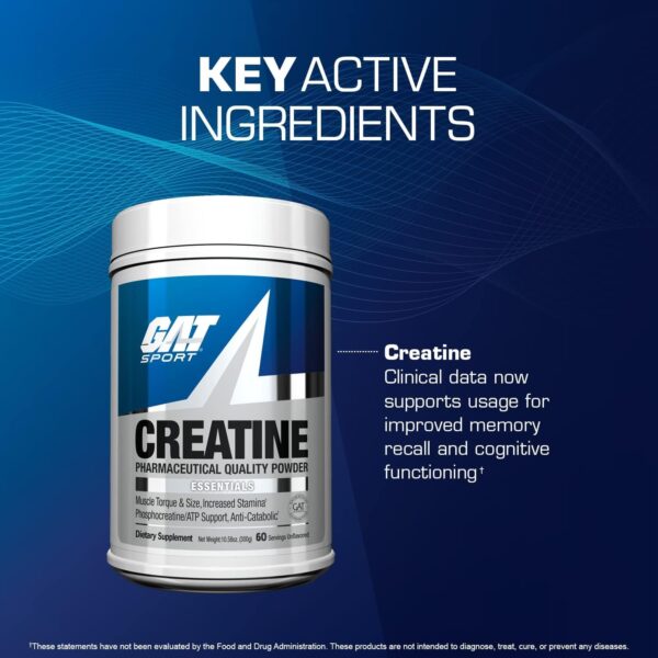 GAT SPORT Creatine Monohydrate Powder, Strength, Brain Health, Anti-oxidant, Endurance, for Men & Women, Unflavored (60 Servings)