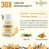 1500 MG Detox Binder Supplement – Activated Charcoal, Zeolite, Bentonite Clay – Liver & Gut Detox Cleanse, Toxin Flush, Digestive, Max Absorption, 90 Vegan Capsules