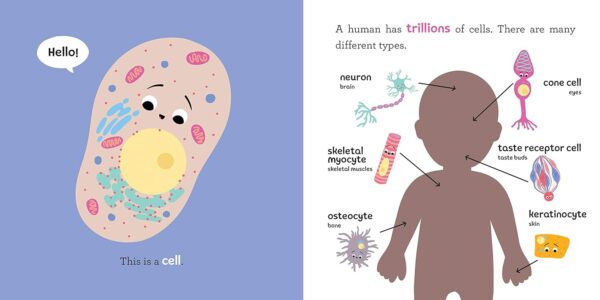 Baby Biochemist: DNA: Discover the Amazing Science Behind Your Body's Molecular Instructions! (Human Body Books, Science Gifts, Medical Books for Kids) (Baby University)