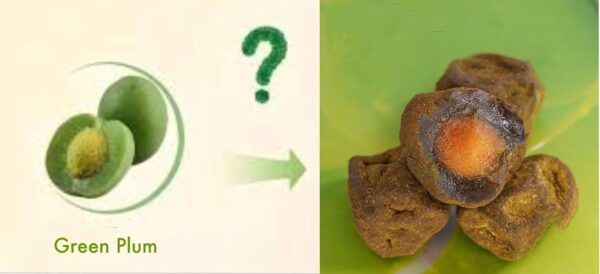 Fermented Green Plum Japanese Apricot Natural Slimming Perfect Weight for 15 Day