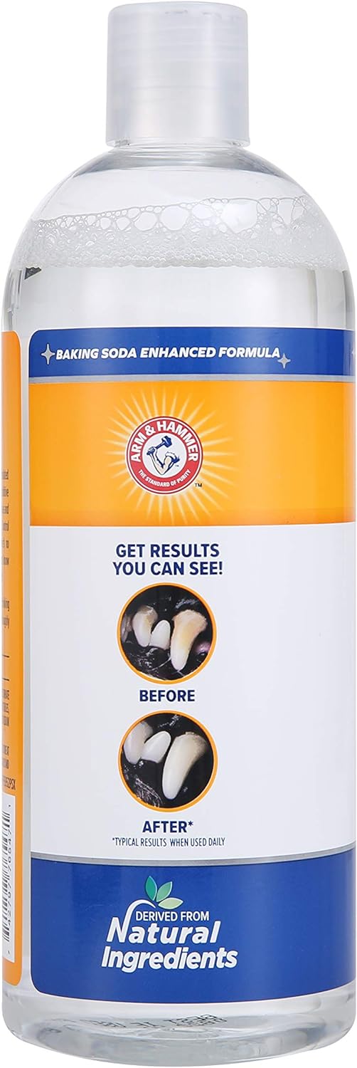 Arm & Hammer Dog Water Additive for Dental Care - Bad Breath Eliminator for Dogs & Dog Breath Freshener - Dog Tooth Plaque Cleaner & Dog Tartar Remover - 16 Fl Oz Dental Rinse for Dogs - Pack of 1