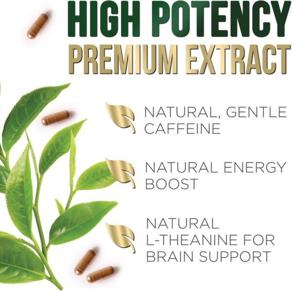 Green Tea Extract Capsules 1000mg 98% Standardized EGCG - 3X Strength for Natural Energy - Heart Support with Polyphenols - Gentle Caffeine - 240 Capsules