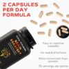 Vital Vitamins Nootropic Brain Supplement Plus - for Memory, Focus, Concentration, Neuro Energy, Clarity - with Lion's Mane Mushrooms - 60 Capsules