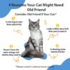 Pet Wellbeing Old Friend for Senior Cats - Supports Immune System Health, Joint Mobility, Healthy Energy Levels, Alfalfa, Reishi - Veterinarian-Formulated Herbal Supplement 2 oz (59 ml)
