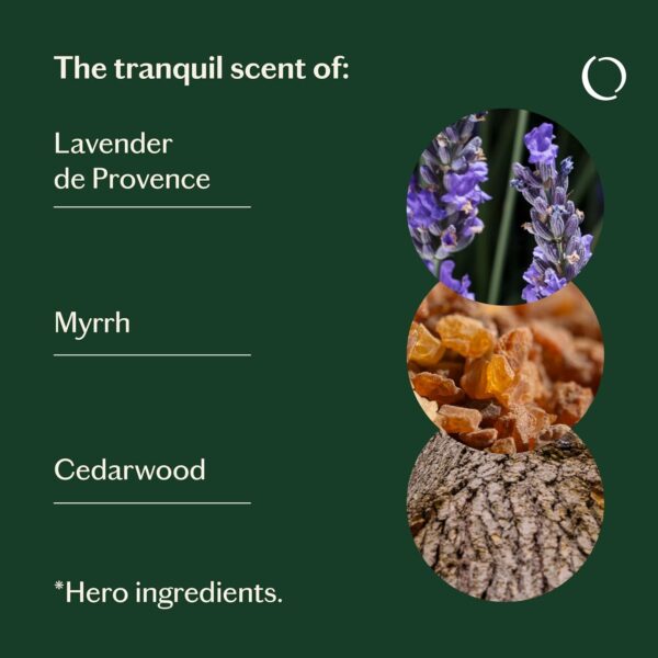 LIVEDROPS 24/7 Relaxed Essential Oil Blend - Tranquil Scent of Lavender, Myrrh & Cedarwood - Aromatherapy - Crafted in France - Pure & Natural - Apply Directly on Skin or in Diffuser