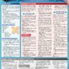 Wound Care: A Quickstudy Laminated Reference Guide