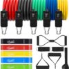 Resistance Bands Set 17pcs, Resistance Band, Exercise Bands Fitness Workout with Wide Handles, Door Anchor, Steel Clasp, Carry Bag, Ankle Straps for Home Gym Outdoor Travel