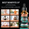 2000MG Liposomal Glutathione Liquid Drops, Enhanced Absorption, Glutathione Supplement, with Vitamin C, Hyaluronic Acid, L-Glutathione, Non-GMO Antioxidant for Liver Detox, 8.08 OZ