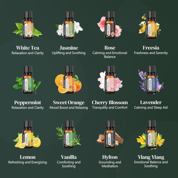 Natural Essential Oil Set, 12 Best Aromatherapy Diffuser Oils with Gift Box & Bag, Essential Oils for Diffusers for Home, Candle Making Scents -Lavender,Lemon,Orange,Vanilla,Jasmine,Rose, Peppermint