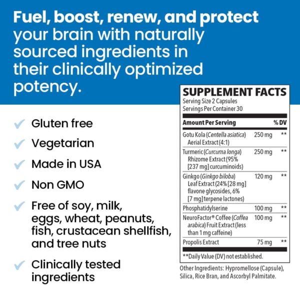 NeuroQ Memory & Focus - Boosts Cognitive Performance & Healthy Brain Function - Neuroprotective Formula by Dr. Dale Bredesen - Gotu Kola Ginkgo Phosphatidylserine Coffee Fruit & Propolis - 60 Capsules