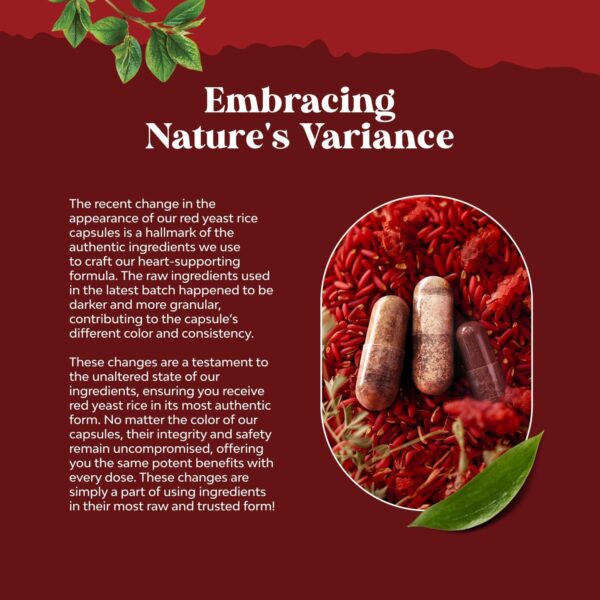 Red Yeast Rice with CoQ10 Supplement - Extra Strength Red Yeast Rice 1200 mg. Capsules with CoQ10 100mg Per Serving - Heart Health Supplement 3rd Party Tested Vegan Non-GMO & Citrinin-Free (4 Months)