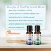 OraWellness Healthy Mouth Blend Organic Toothpaste & Mouthwash Alternative Tooth Oil, Natural Mouth Rinse for Healthy Teeth & Gums for Women, Men and Kids, Pack of 3