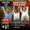 Odyssey Elixir - Odyssey 222 - Sparkling Energy Drink - 222 mg of Caffeine - Lion's Mane & Cordyceps - Energy & Focus - Endurance & Stamina - Nootropic - Pre Workout - Strawberry Watermelon