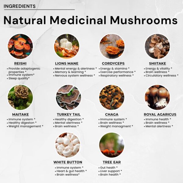 ACEWORKZ 10 Mushroom Complex Supplement - Lions Mane, Reishi and Cordyceps & More - Nootropic for Brain Health, Memory & Focus - Immunity & Energy (90 Capsules)