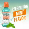 TheraBreath Plaque Control Pre-Brush Oral Rinse, Refreshing Mint Flavor, Antigingivitis and Antiplaque Rinse, Dentist Formulated, Alcohol Free, 16 Fl Oz (Pack of 2)