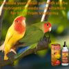 Multi-Vitamin for Birds, High-Potency Vitamin & Mineral Supplement for Pet Birds 2.0 Ounce