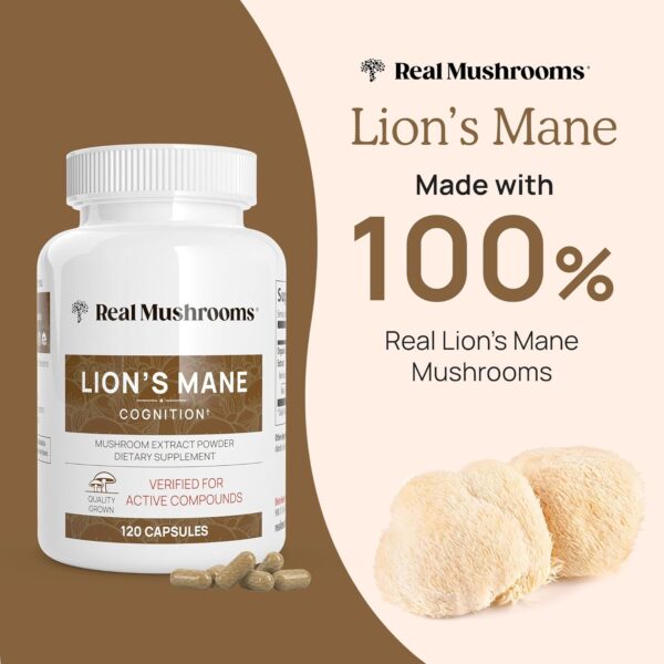 71OERgDHDDL._AC_SL1500_.jpg Lions Mane Mushroom Cognition Capsules (120 Capsules) Lions Mane Mushroom Powder Extract Capsules | Brain Supplement, Brain Vitamins, Focus Supplement