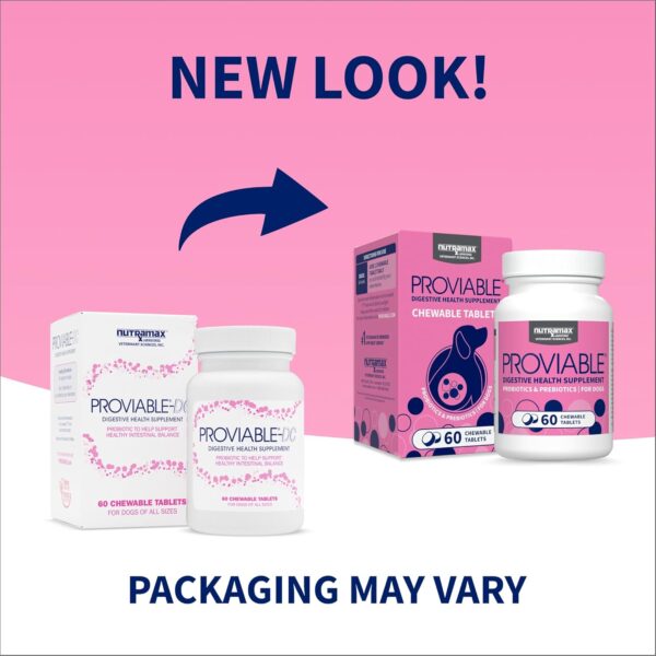 Nutramax Laboratories Proviable Digestive Health Supplement Multi-Strain Probiotics and Prebiotics for Dogs, With 7-Strains of Bacteria, 60 Chewable Tablets