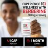 10X Health Berberine Supplement 500mg - Contains Dihydroberberine Supplement for Better Absorption - Supports Cardiovascular & Gut Health Supplements for Women & Men - 30 Capsules