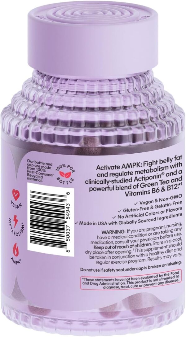 Lemme Burn - Metabolism, Belly Fat Burning + AMPK Activating Supplement for Men & Women w/Clinically Studied Actiponin Gynostemma, Green Tea Extract, Vitamins B6 & B12 - Vegan, Gluten Free, 60 Count