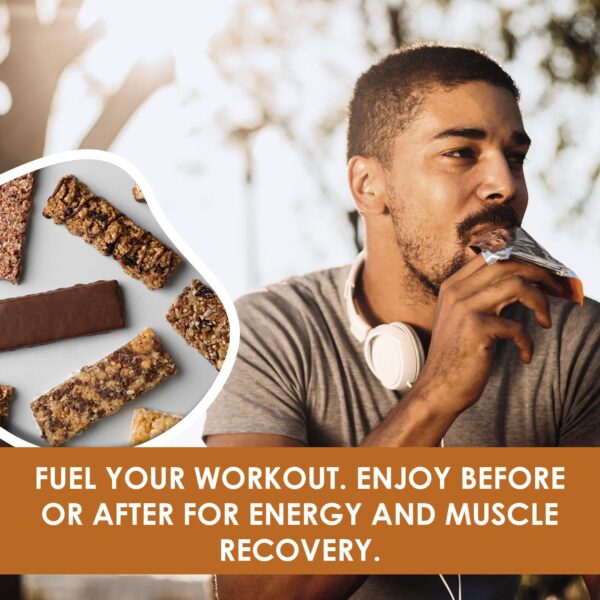 BestMed - High Protein Nutrition Bar - Low-Carb, 15g Protein, Low Sugar, High Fiber, Low Calorie, Meal Replacement Bar (Cinnamon, 1 Box - 7 Count)