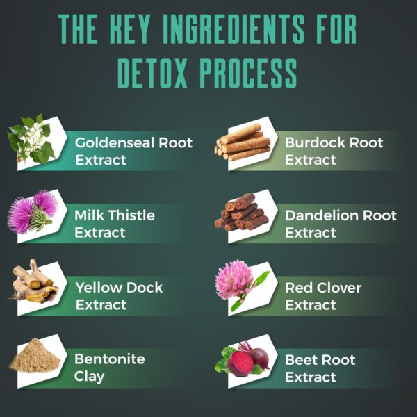 Detox Cleanse Gummies - Liver, Gut, Kidney Cleanse Detox & Repair, Rapid & Effective Full Body Cleanse Best for Women and Men with Milk Thistle - Natural Plant-Based Detox Supplement, 120 Gummies