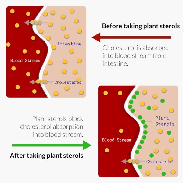 UpNourish Citrus Bergamot, Plant Sterols and Stanols Supplement, Heart Health Support with CoQ10, Omega 3, Olive Leaf Extract, Turmeric Curcumin, Black Garlic and Niacin - 120 Softgels