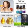 Top 6 Essential Oils Blends Set for Diffusers - Aromatherapy Oils Scents for Home & Office, Perfect for Tension Relief, Relaxation, Breath and Good Dreams Mood Boost Wellness Essential Oil Kit for SPA
