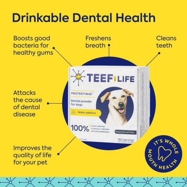 Teef For Life Protektin42 Plant-Derived Prebiotic Dental Powder for Dogs, Daily Dental Care, Clinically-Proven Formula Naturally Fights Plaque and Tartar, Refill Packet with 30 Servings