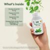 ANDREW LESSMAN Breath Plus 60 Softgels - Natural Breath Freshener, Helps Eliminate Odors from Food, Smoking, Morning Breath from The Inside Out. Peppermint, Spearmint. Easy to Swallow Softgels