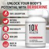 10X Health Berberine Supplement 500mg - Contains Dihydroberberine Supplement for Better Absorption - Supports Cardiovascular & Gut Health Supplements for Women & Men - 30 Capsules