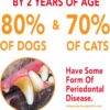 Petrodex Toothpaste for Dogs and Puppies, Cleans Teeth and Fights Bad Breath, Reduces Plaque and Tartar Formation, Enzymatic Toothpaste, Poultry Flavor, 6.2oz