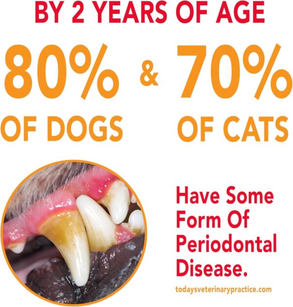 Petrodex Toothpaste for Dogs and Puppies, Cleans Teeth and Fights Bad Breath, Reduces Plaque and Tartar Formation, Enzymatic Toothpaste, Poultry Flavor, 6.2oz