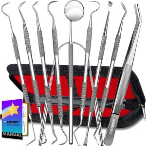 G.CATACC 10 Pack Dental Tools, Professional Plaque Remover for Teeth Cleaning Tools Set, Stainless Steel Hygiene Kit with Dental Picks Tooth Scraper Plaque Tartar Remover Tongue Cleaner - with Case
