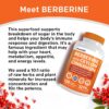 21-in-1 Berberine Supplement with Ceylon Cinnamon - Berberine 1500mg with Chromium, Bitter Melon and Green Tea Extract - Dihydroberberine Supplement for Energy & Metabolism Support, 5279 mg, 120 count