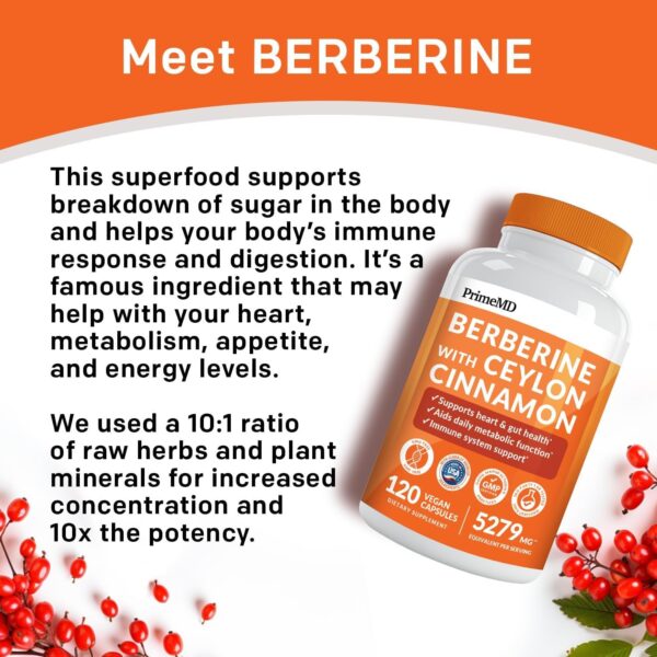 21-in-1 Berberine Supplement with Ceylon Cinnamon - Berberine 1500mg with Chromium, Bitter Melon and Green Tea Extract - Dihydroberberine Supplement for Energy & Metabolism Support, 5279 mg, 120 count